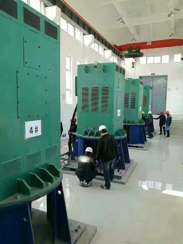 嫩江某污水处理厂使用我厂的立式高压电机安装现场