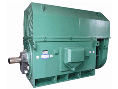 嫩江Y系列6KV高压电机